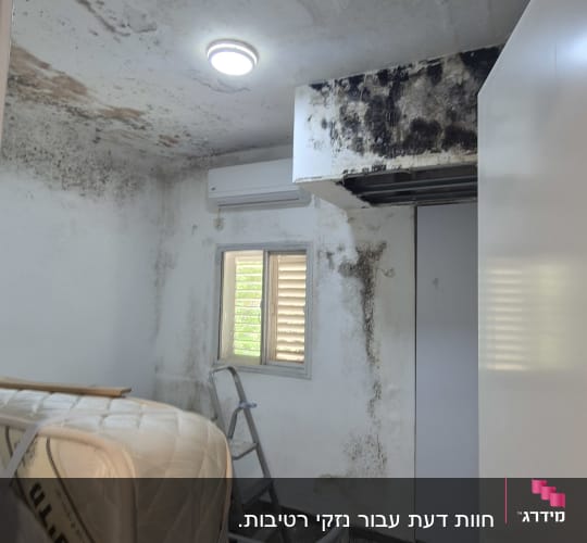 חדר עם קירות ותקרה עם עובש ונזקי מים